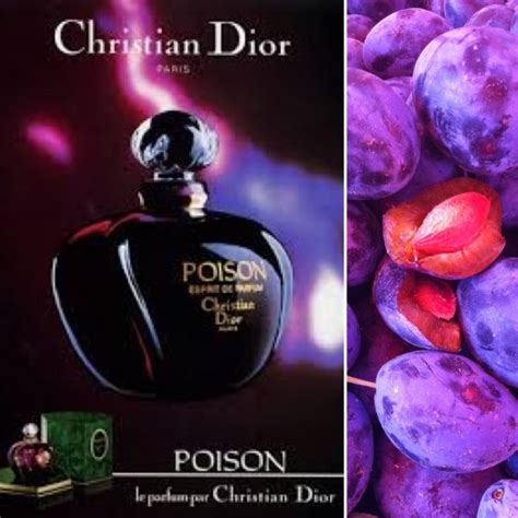 1986 dior perfume|poison by christian Dior 1985.